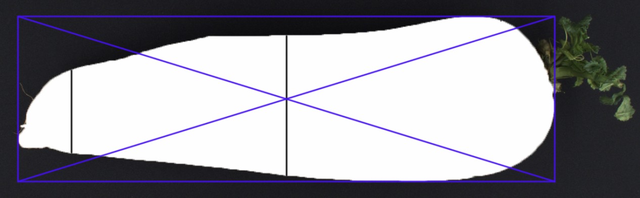 基于机器视觉的茎菜外观智能检测技术研发